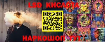молекула духа Новозыбков