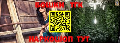 молекула духа Новозыбков