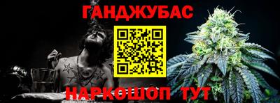 молекула духа Новозыбков