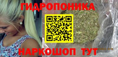 дмт Новодвинск