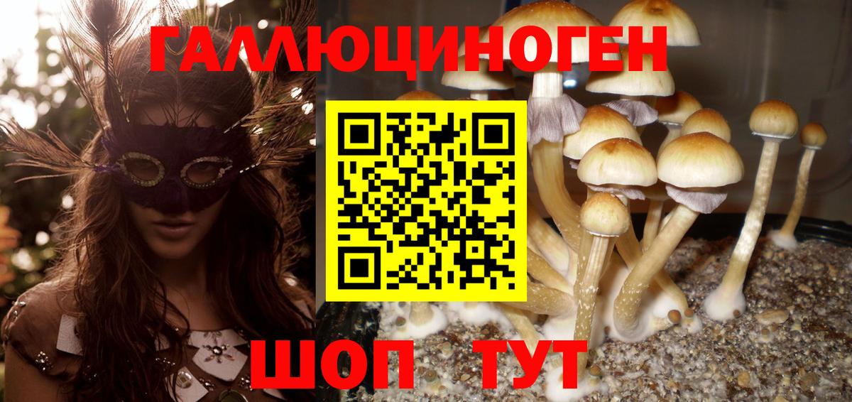 Туапсе  Галлюциногенные грибы MAGIC MUSHROOMS  Вход с VPN 